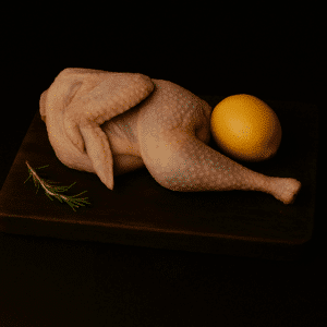 MEDIA GALLINA ECOLÓGICA